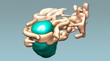 Foto: Tomada de Internet