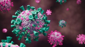 infecciones virales aprendizaje automatico microscopia