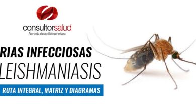 RIAS Leishmaniasis - Ruta Integral, Matriz y Diagrama