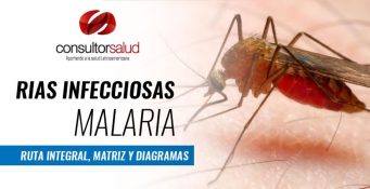 RIAS MALARIA- RUTA INTEGRAL, MATRIZ Y DIAGRAMA