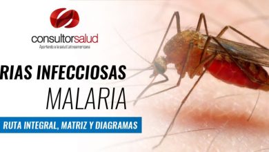 RIAS MALARIA- RUTA INTEGRAL, MATRIZ Y DIAGRAMA