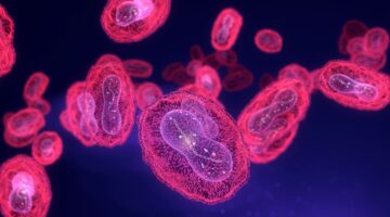 mpox planes de acción crédito unam (1)