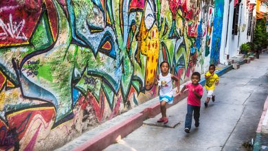 panorama general dengue latinoamerica y caribe