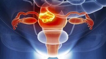 Foto: Tomada de Internet