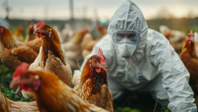 INS confirma que influenza altamente patógena en humanos no ha sido detectada Colombia