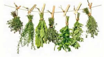 Vademecum Colombiano Plantas Medicinales