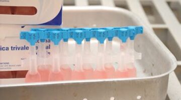 Nueva vacuna contra el polio