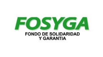 Presupuesto del Fosyga 2013