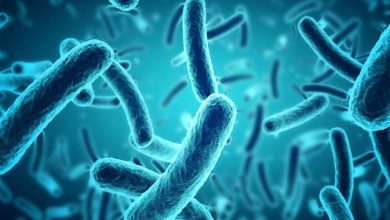 primer caso difteria peru