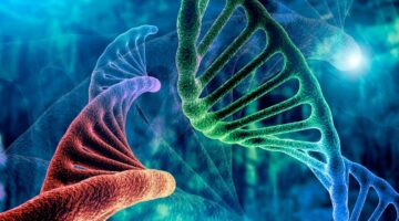 promisoria terapia genica trastorno neurologico