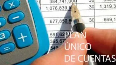 Plan Único de Cuentas