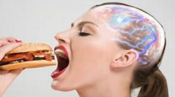 Prevenir la obesidad y la diabetes con tan solo un receptor