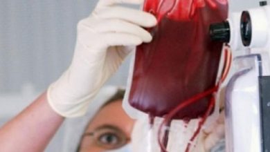 Avanzan en transformación de cualquier tipo de sangre donada