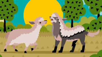 Wolf,In,Sheep's,Clothing,And,Sheep