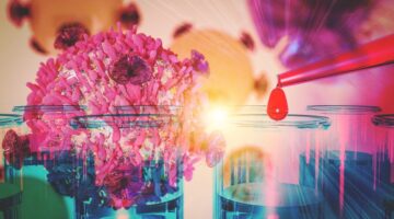 shutterstock_1118175842