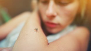 Dengue en América Latina