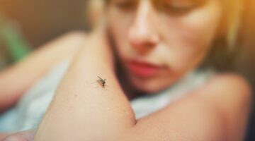 Dengue en América Latina