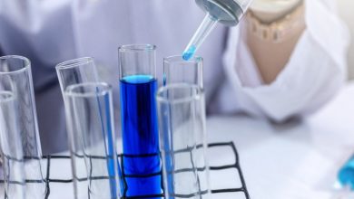 shutterstock_1363517960