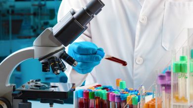 ¿Cómo el cambio de altitud modifica nuestra producción de proteínas?