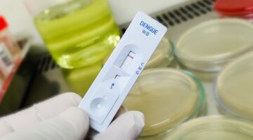 dengue prueba