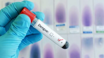 Alerta epidemiológica: aumento de casos de dengue en la región de las Américas