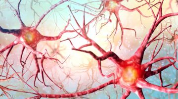 shutterstock_763298869