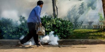 Argentina fue declarada libre de Malaria, un ejemplo para el continente