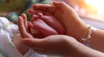 licencia de maternidad