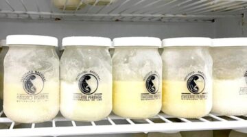 Donación de leche materna en Perú beneficia a miles de bebés prematuros hospitalizados