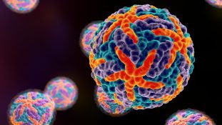 nanosensor que distingue el virus del dengue y del zika