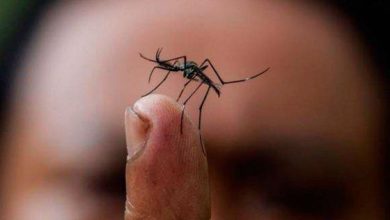 Entre 4 mil y 5 mil aumentarán casos de Zika en Colombia