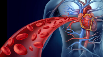 ¿Cómo afecta la hipertensión a los diferentes órganos del cuerpo
