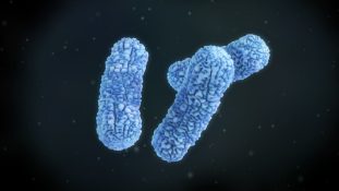 ¿Qué medidas se han tomado por el brote de Burkholderia
